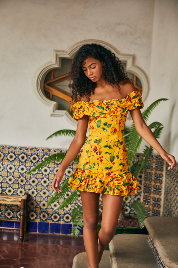 JARDÍN FRUTAL COTTON POPLIN MINI DRESS